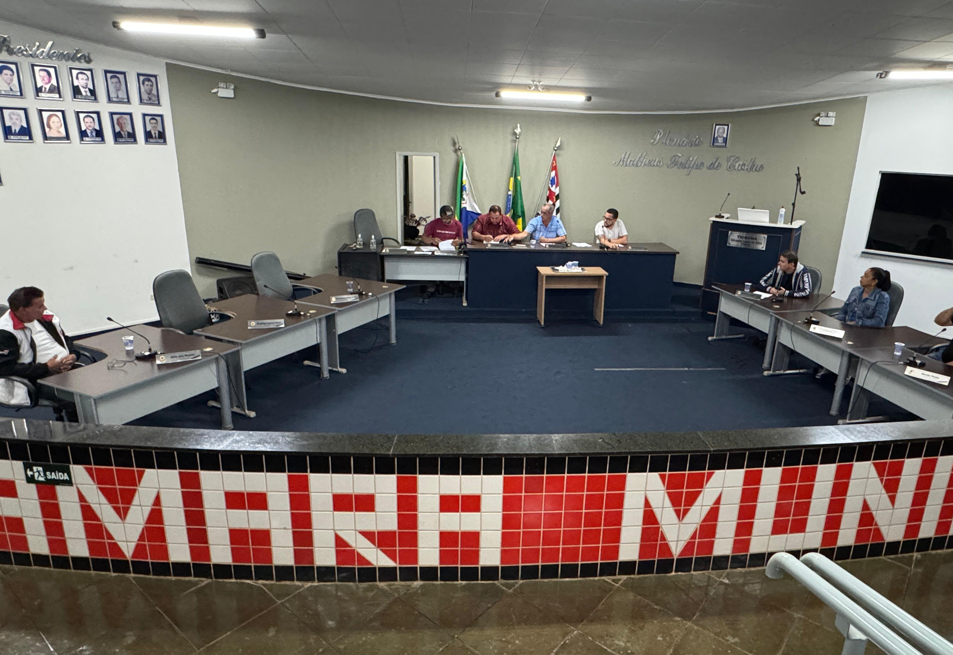 7ª Sessão Extraordinária da 15ª Legislatura