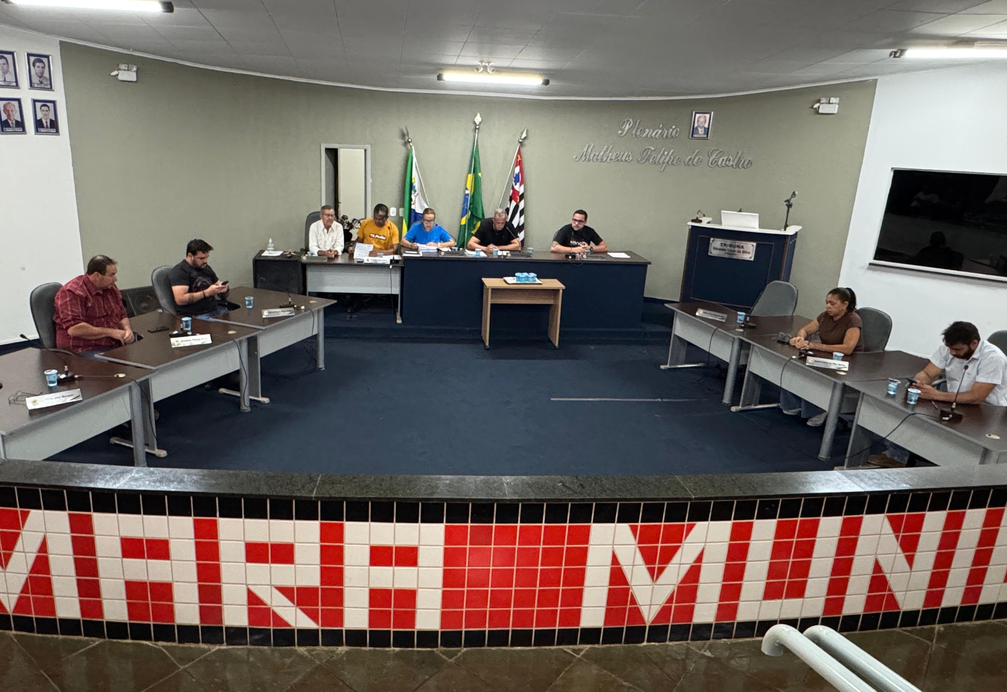 11ª Sessão Extraordinária da 15ª Legislatura